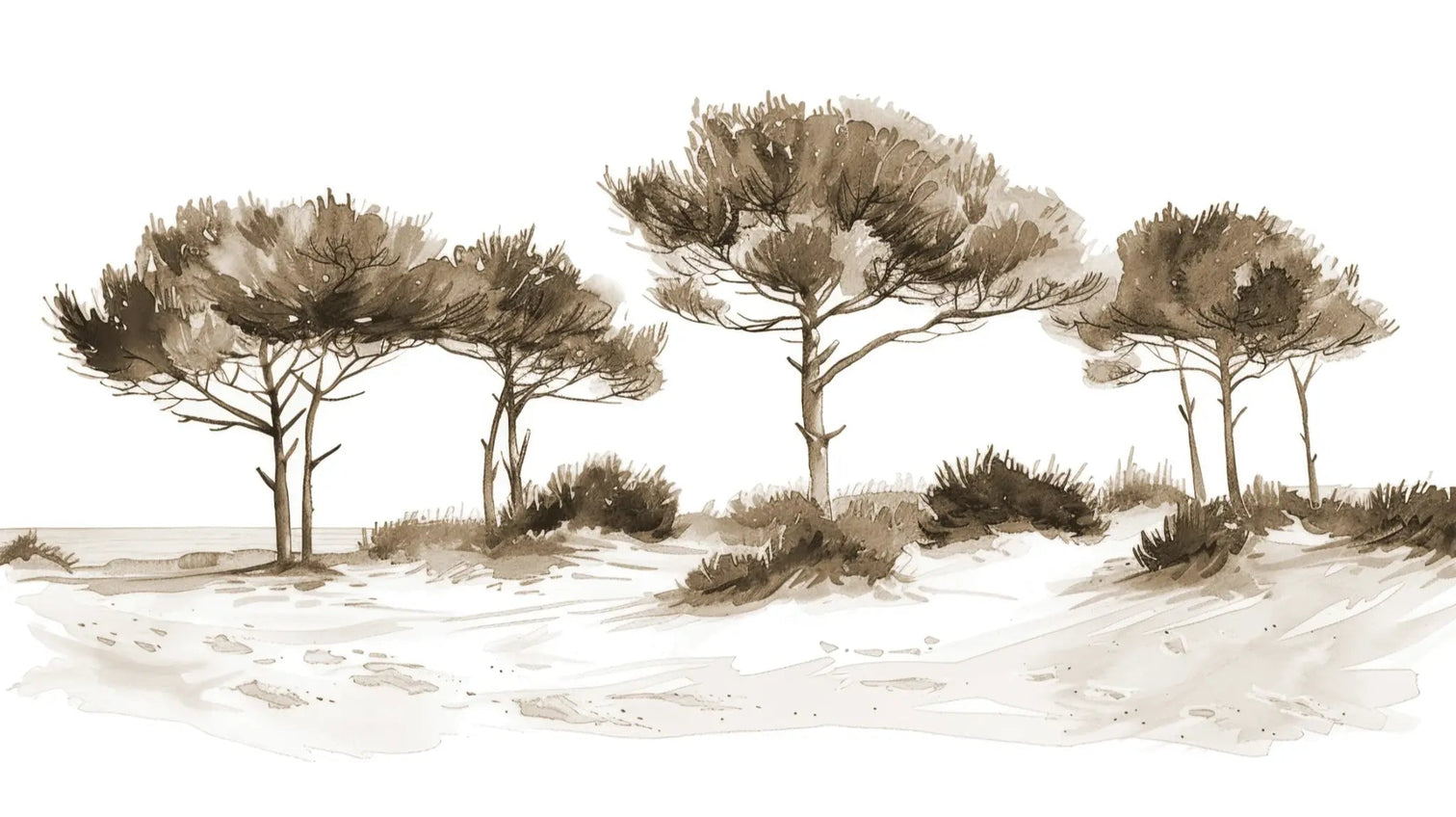 Les Pins de la Plage : Évasion Naturelle Couleur Sépia - Illulart: Papier peint panoramique