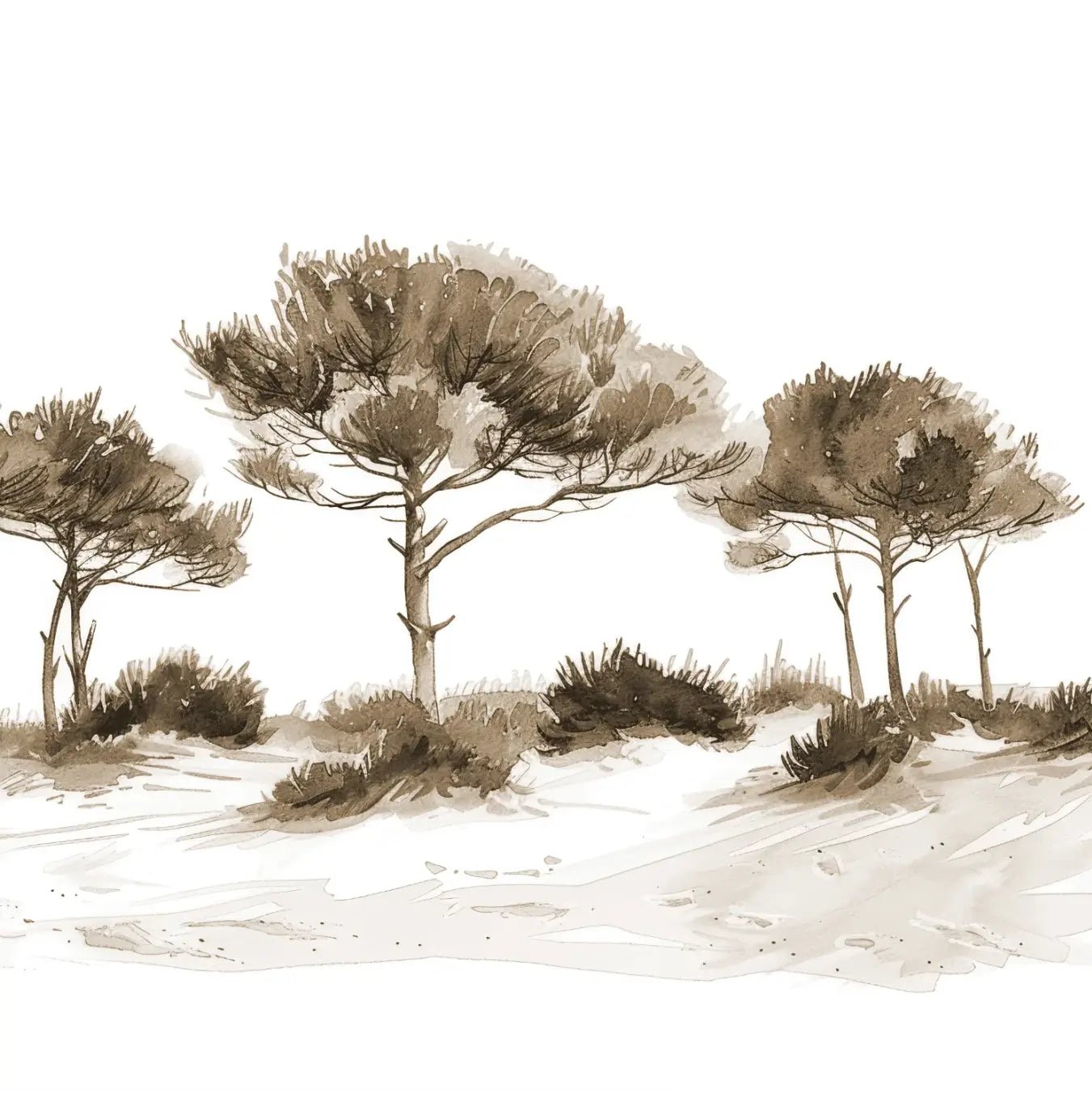 Les Pins de la Plage : Évasion Naturelle Couleur Sépia - Illulart: Papier peint panoramique