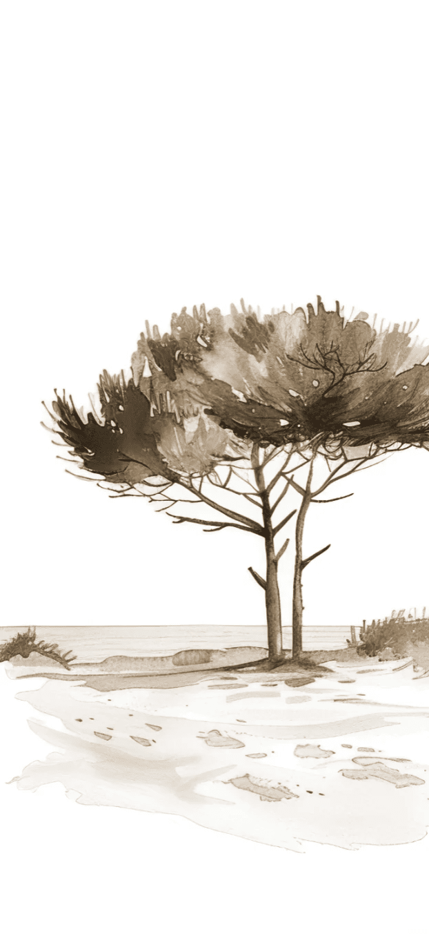 Les Pins de la Plage : Évasion Naturelle Couleur Sépia - Illulart: Papier peint panoramique