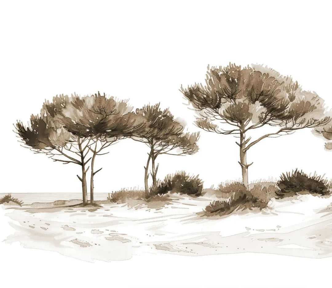 Les Pins de la Plage : Évasion Naturelle Couleur Sépia - Illulart: Papier peint panoramique