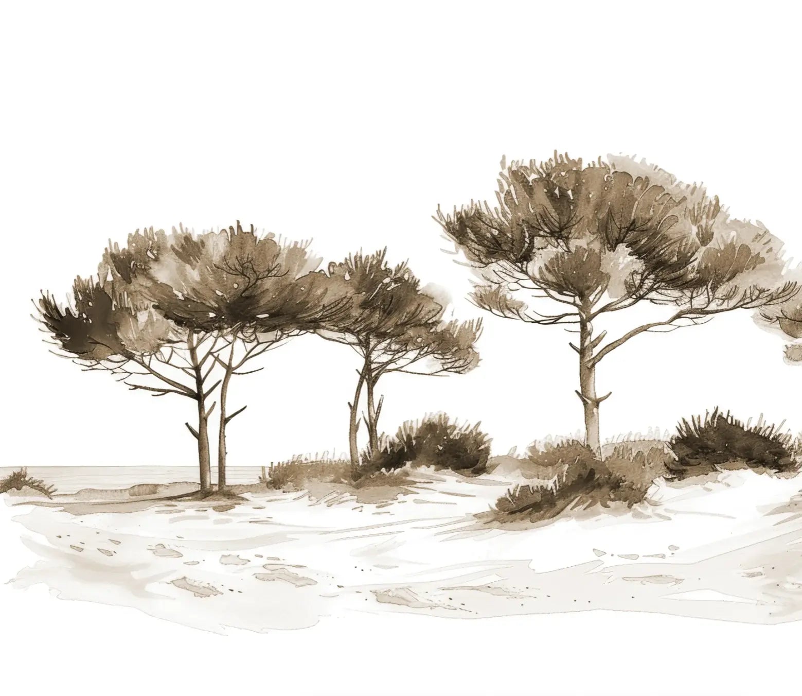Les Pins de la Plage : Évasion Naturelle Couleur Sépia - Illulart: Papier peint panoramique