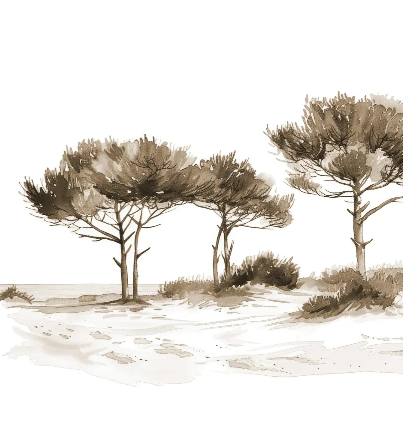 Les Pins de la Plage : Évasion Naturelle Couleur Sépia - Illulart: Papier peint panoramique