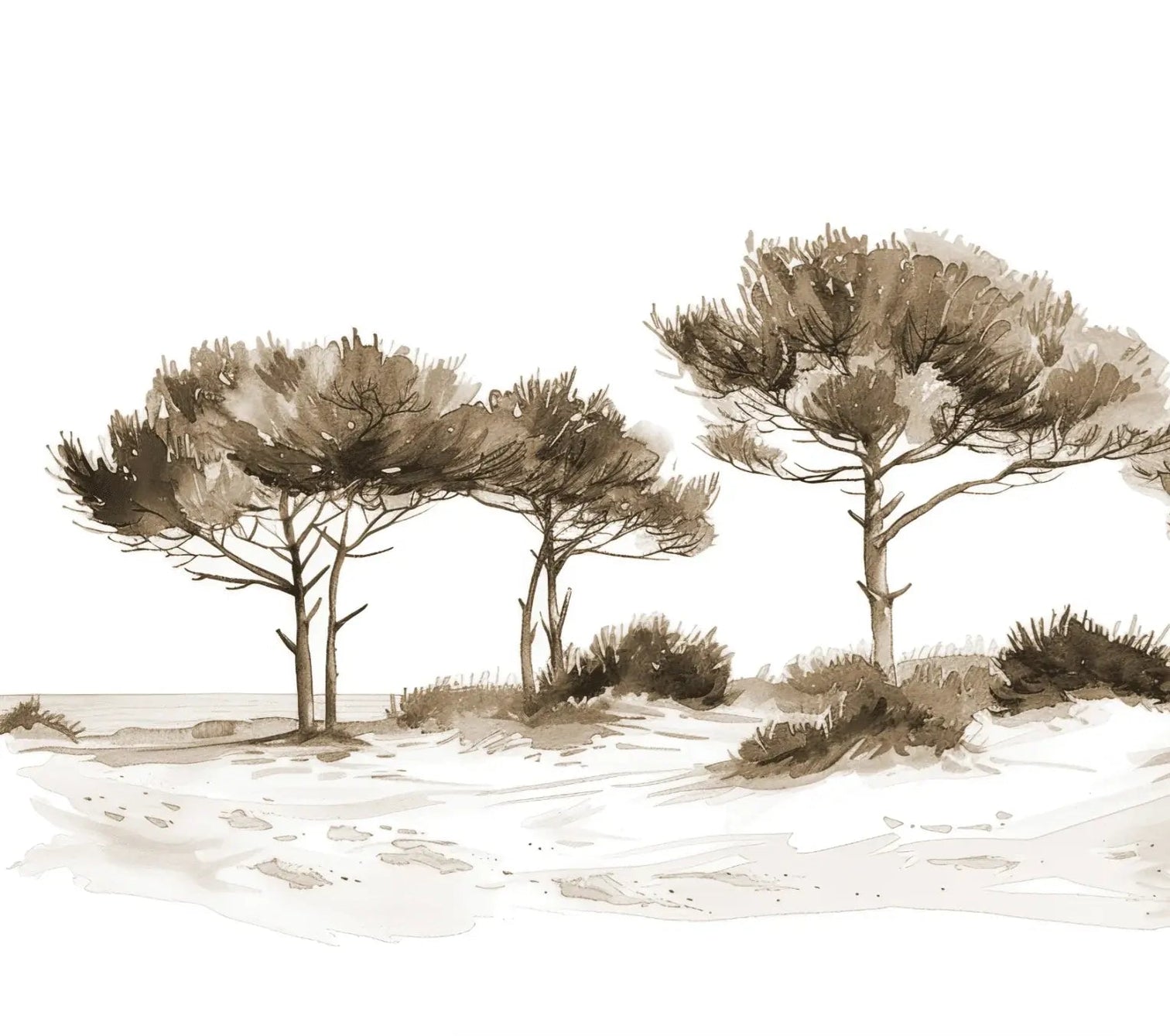 Les Pins de la Plage : Évasion Naturelle Couleur Sépia - Illulart: Papier peint panoramique