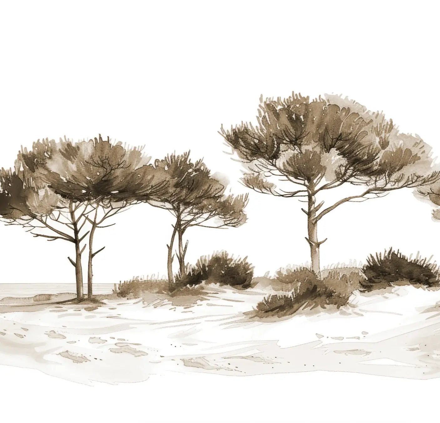 Les Pins de la Plage : Évasion Naturelle Couleur Sépia - Illulart: Papier peint panoramique