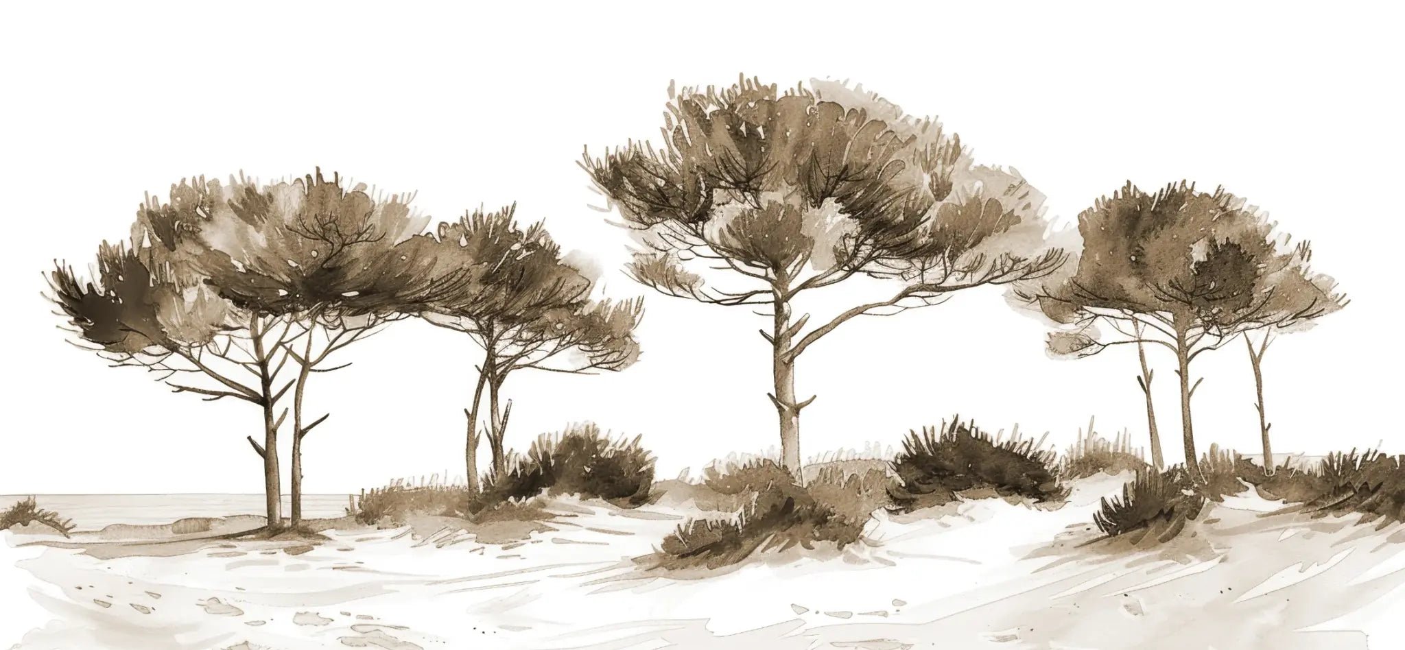 Les Pins de la Plage : Évasion Naturelle Couleur Sépia - Illulart: Papier peint panoramique