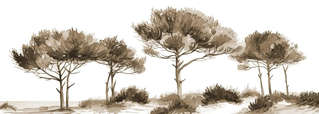 Les Pins de la Plage : Évasion Naturelle Couleur Sépia - Illulart: Papier peint panoramique