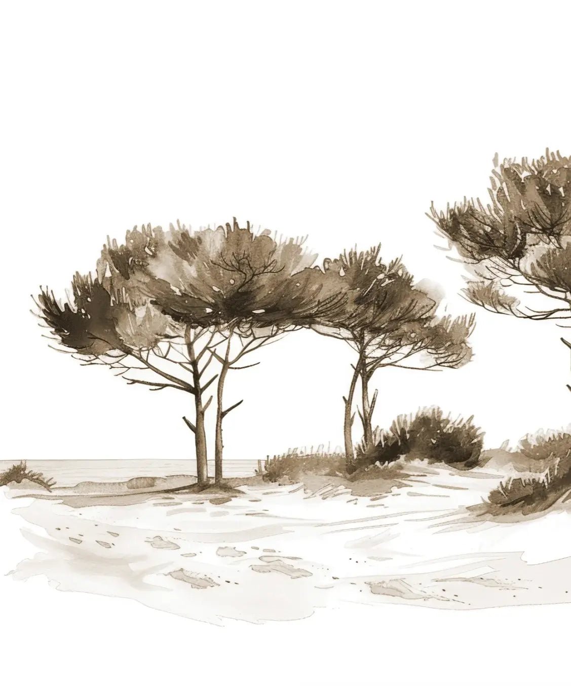 Les Pins de la Plage : Évasion Naturelle Couleur Sépia - Illulart: Papier peint panoramique