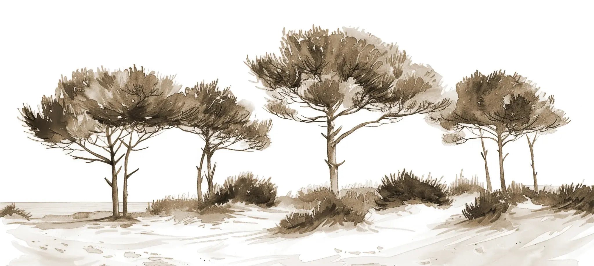 Les Pins de la Plage : Évasion Naturelle Couleur Sépia - Illulart: Papier peint panoramique