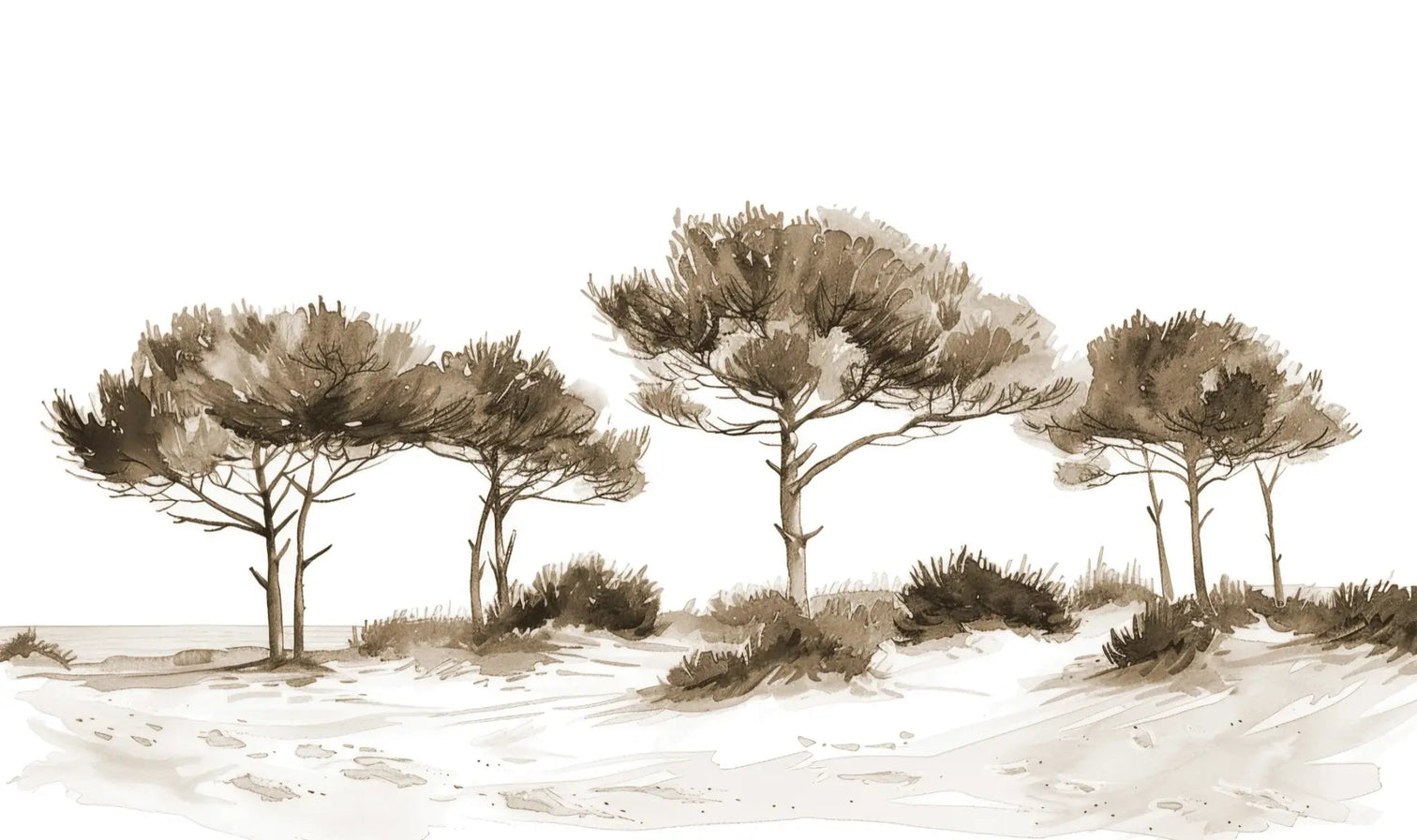 Les Pins de la Plage : Évasion Naturelle Couleur Sépia - Illulart: Papier peint panoramique