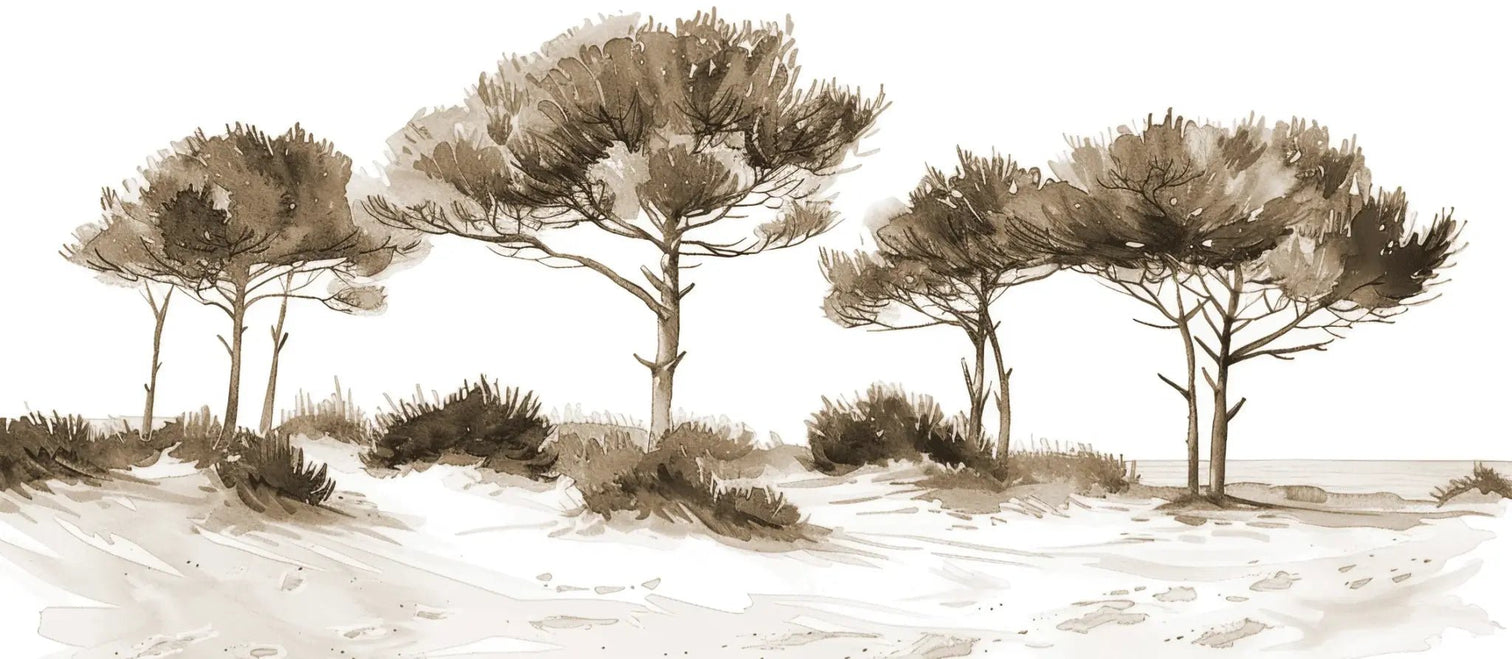 Les Pins de la Plage : Évasion Naturelle Couleur Sépia - Illulart: Papier peint panoramique