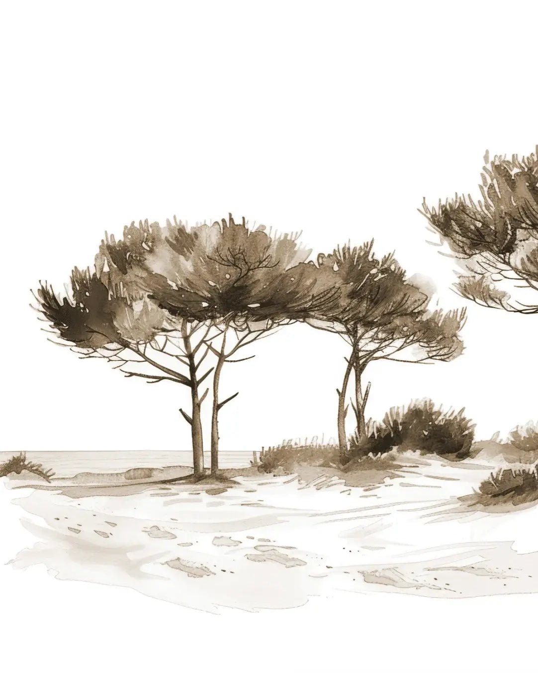 Les Pins de la Plage : Évasion Naturelle Couleur Sépia - Illulart: Papier peint panoramique