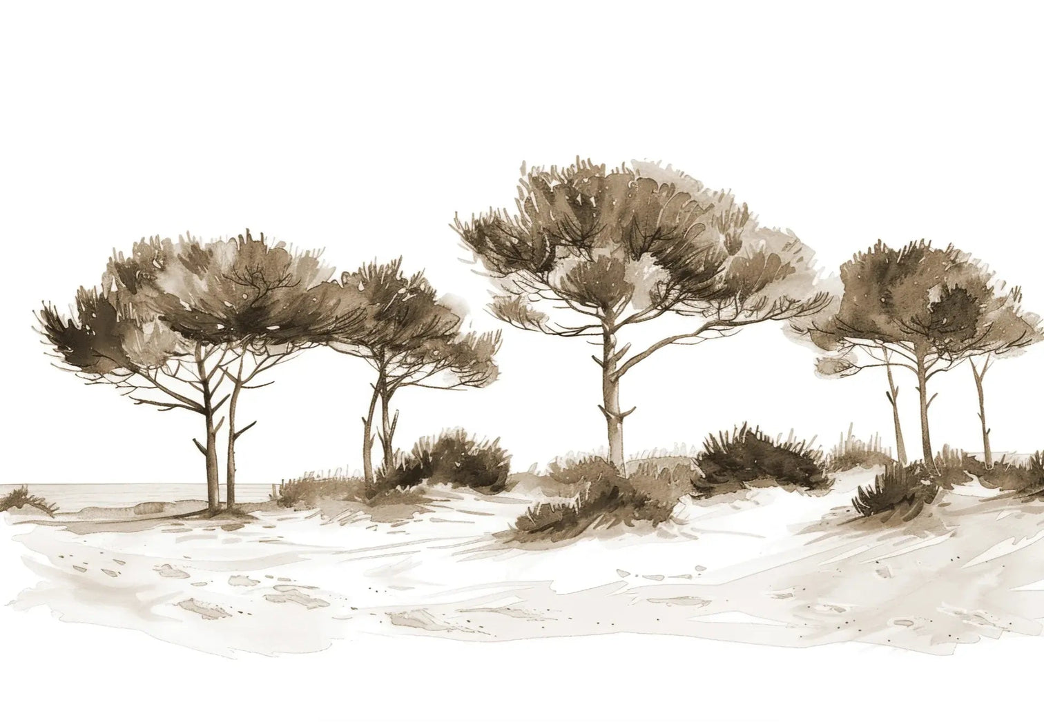 Les Pins de la Plage : Évasion Naturelle Couleur Sépia - Illulart: Papier peint panoramique