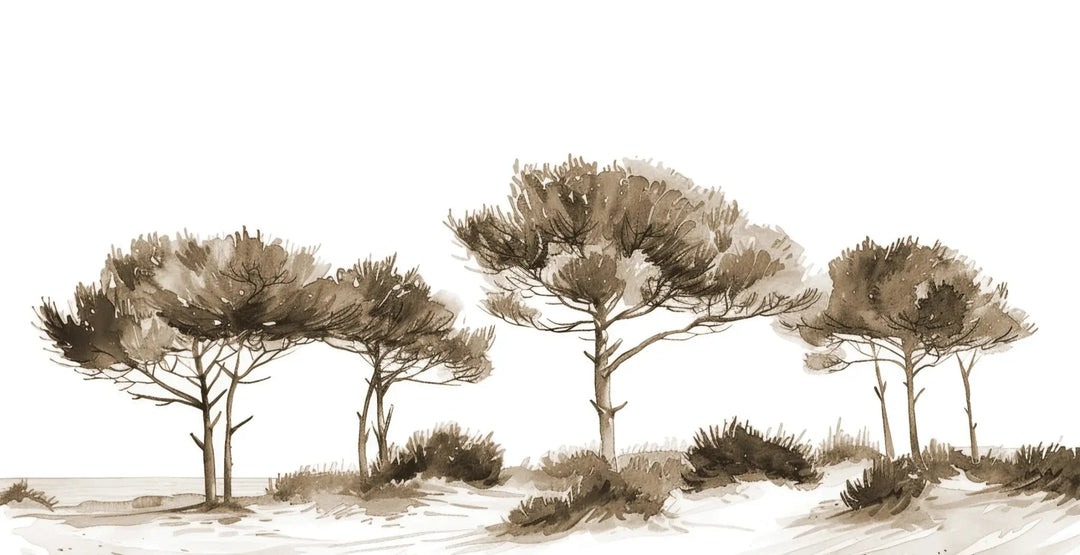 Les Pins de la Plage : Évasion Naturelle Couleur Sépia - Illulart: Papier peint panoramique