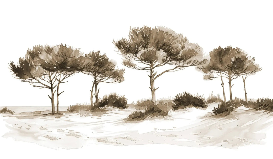 Les Pins de la Plage : Évasion Naturelle Couleur Sépia - Illulart: Papier peint panoramique