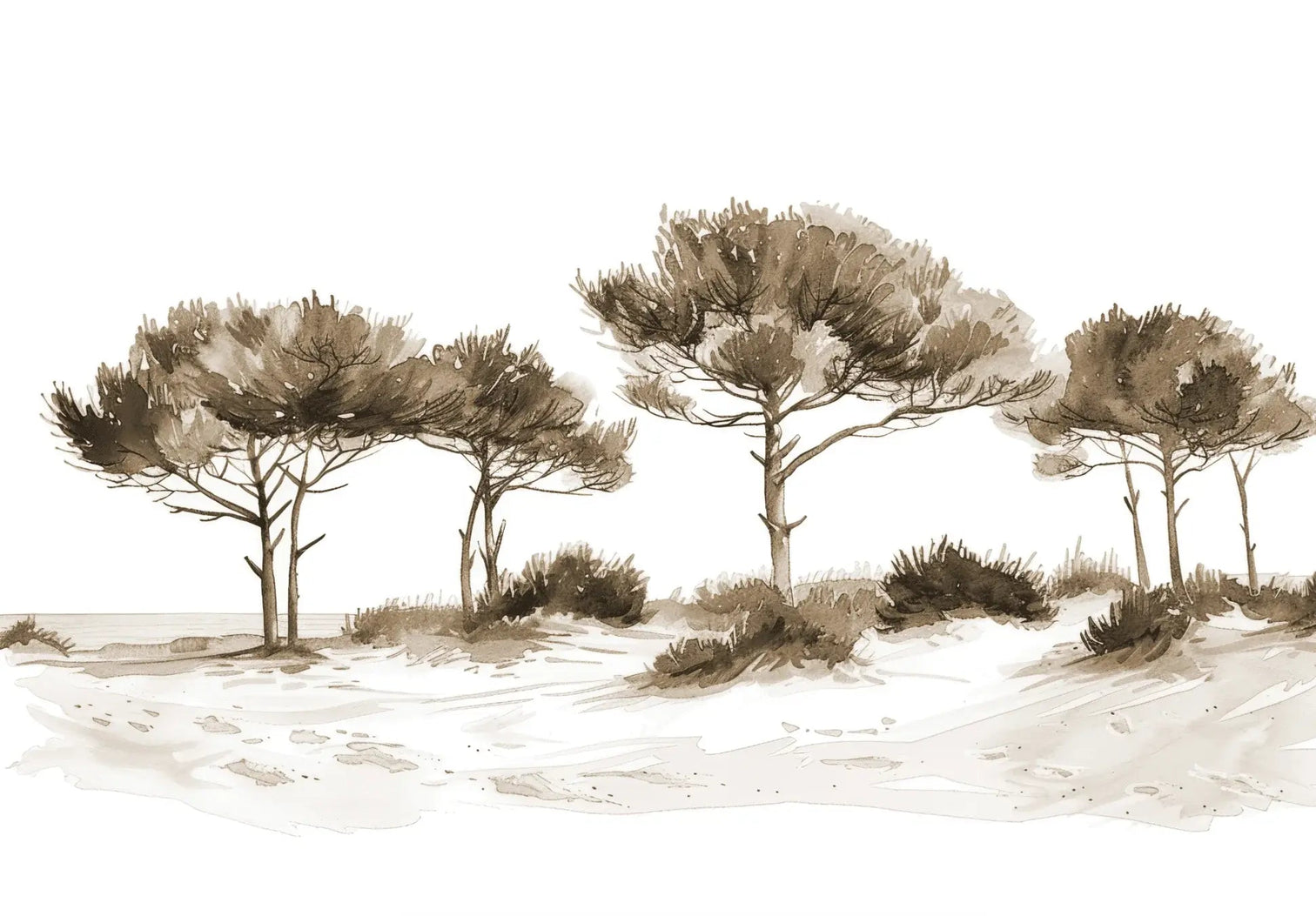 Les Pins de la Plage : Évasion Naturelle Couleur Sépia - Illulart: Papier peint panoramique