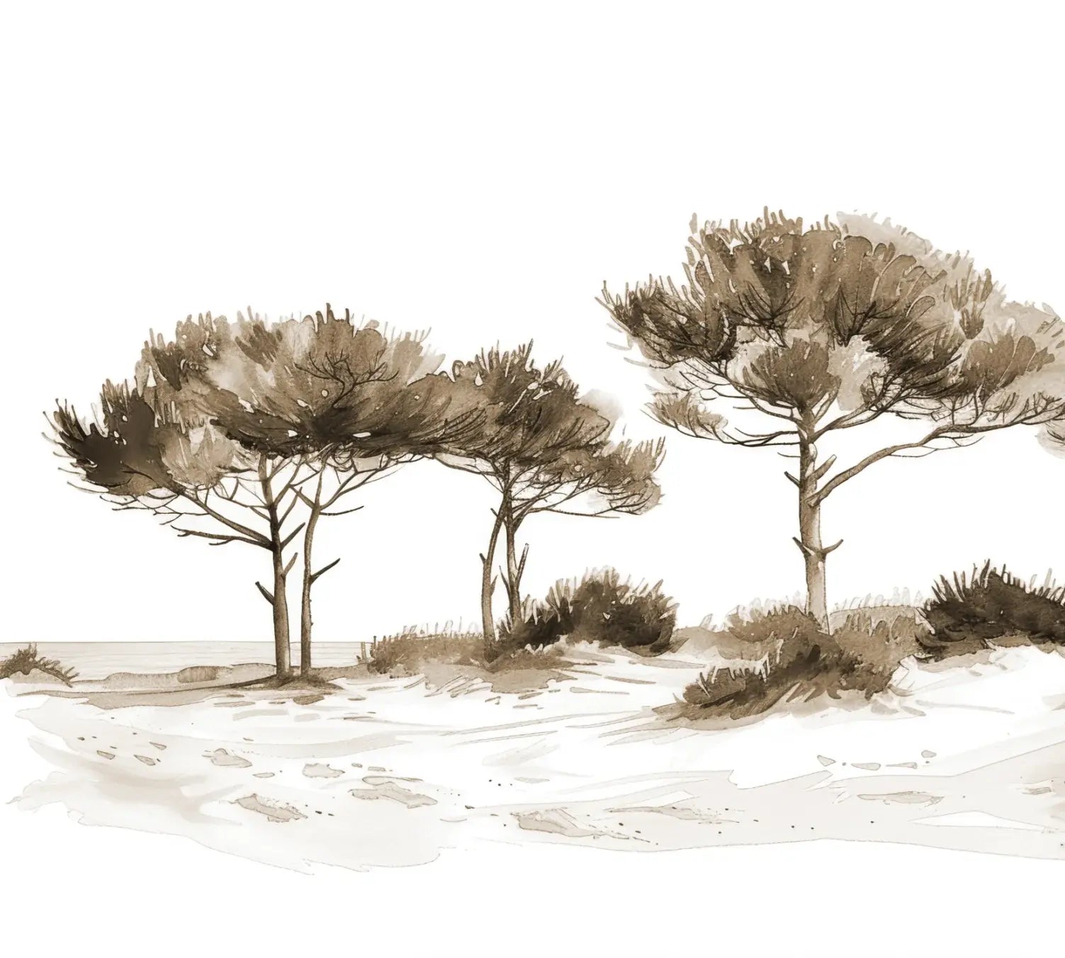 Les Pins de la Plage : Évasion Naturelle Couleur Sépia - Illulart: Papier peint panoramique