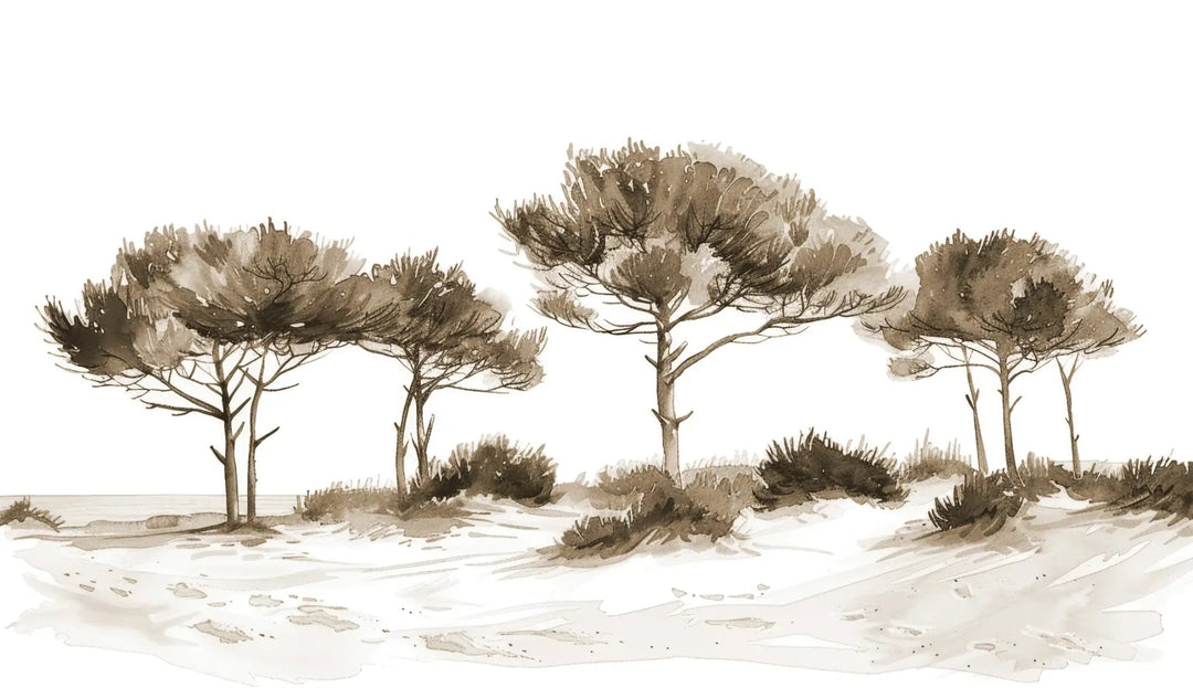 Les Pins de la Plage : Évasion Naturelle Couleur Sépia - Illulart: Papier peint panoramique