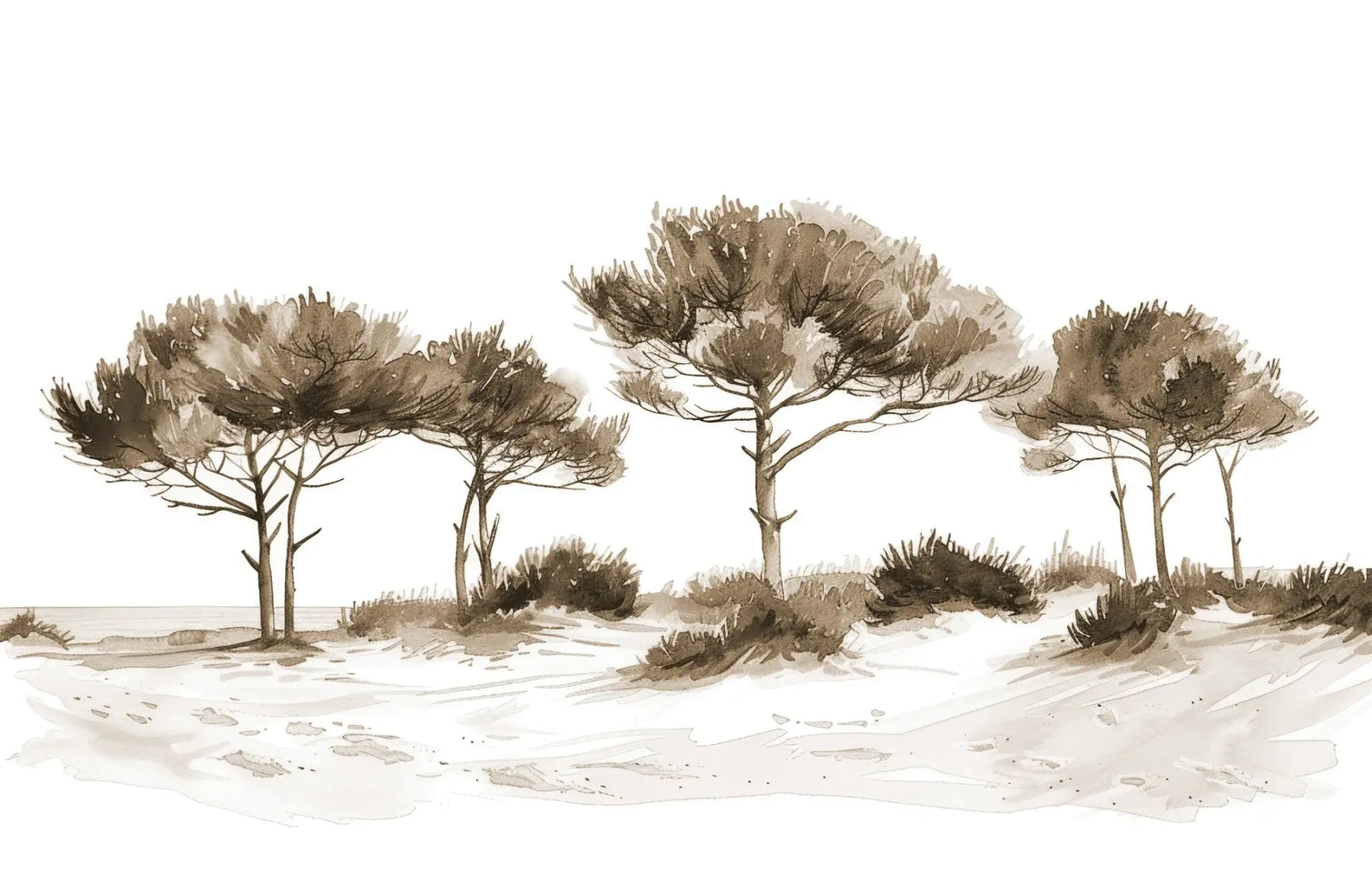 Les Pins de la Plage : Évasion Naturelle Couleur Sépia - Illulart: Papier peint panoramique