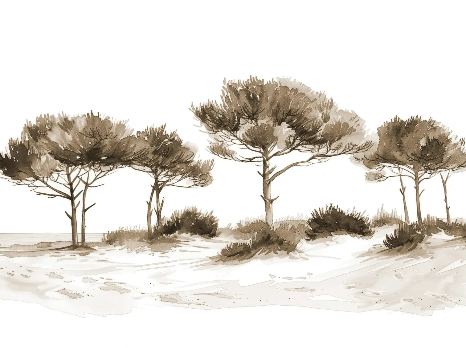 Les Pins de la Plage : Évasion Naturelle Couleur Sépia - Illulart: Papier peint panoramique