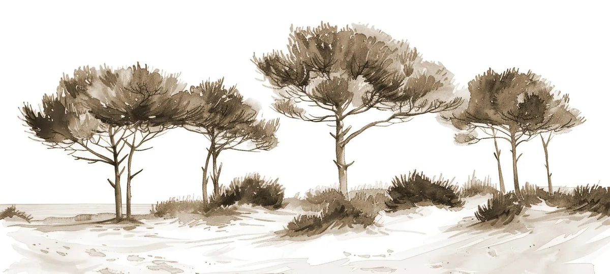 Les Pins de la Plage : Évasion Naturelle Couleur Sépia - Illulart: Papier peint panoramique