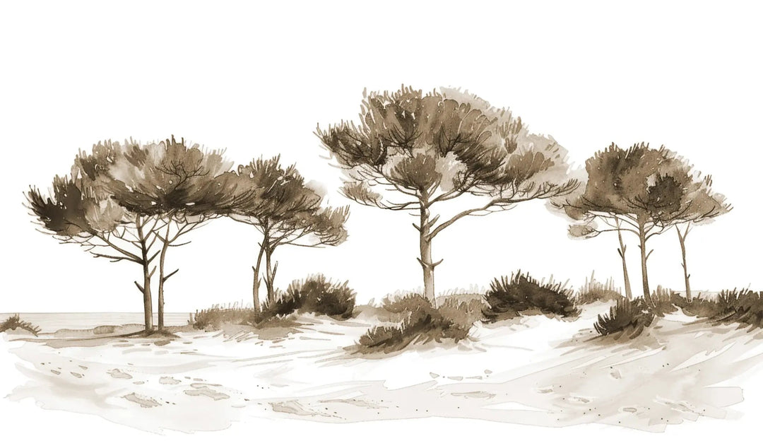 Les Pins de la Plage : Évasion Naturelle Couleur Sépia - Illulart: Papier peint panoramique