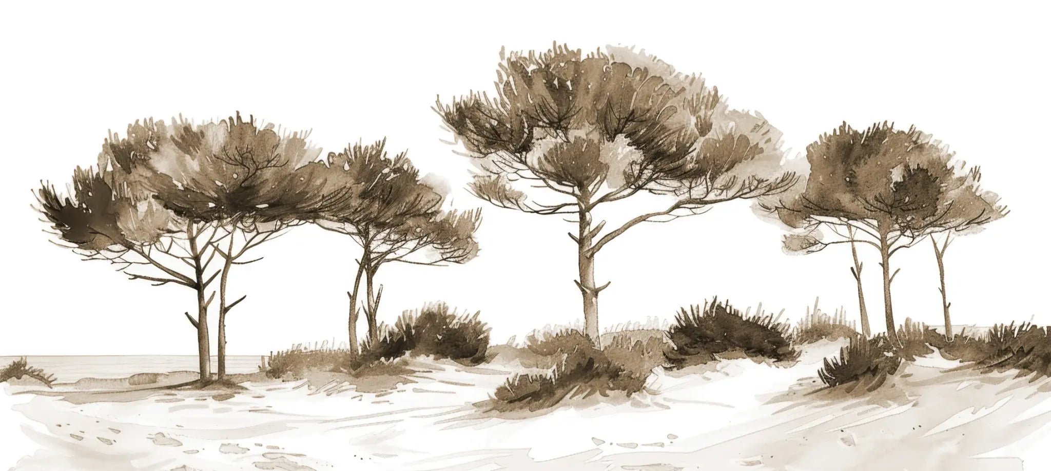 Les Pins de la Plage : Évasion Naturelle Couleur Sépia - Illulart: Papier peint panoramique