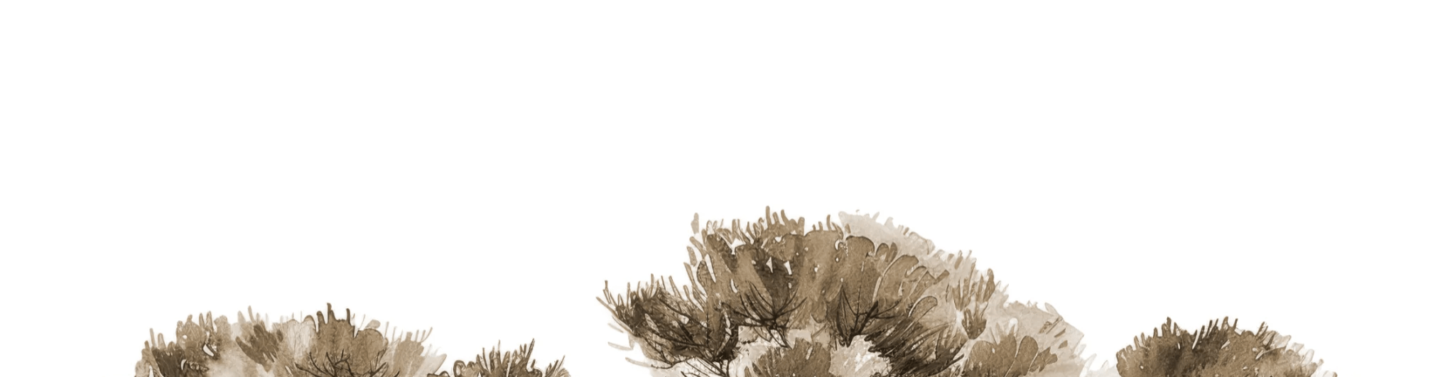 Les Pins de la Plage : Évasion Naturelle Couleur Sépia - Illulart: Papier peint panoramique