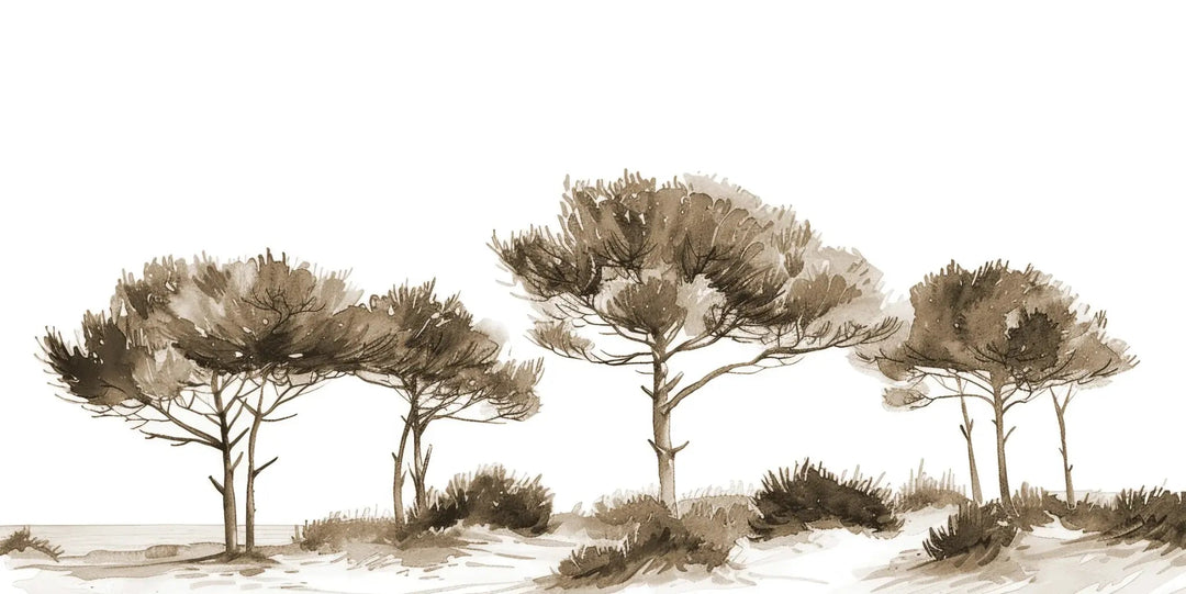 Les Pins de la Plage : Évasion Naturelle Couleur Sépia - Illulart: Papier peint panoramique