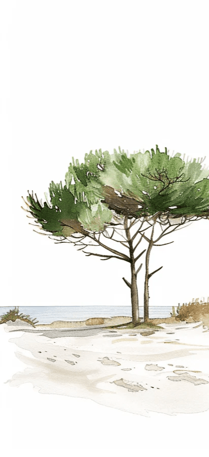 Les Pins de la Plage : Évasion Naturelle - Illulart: Papier peint panoramique