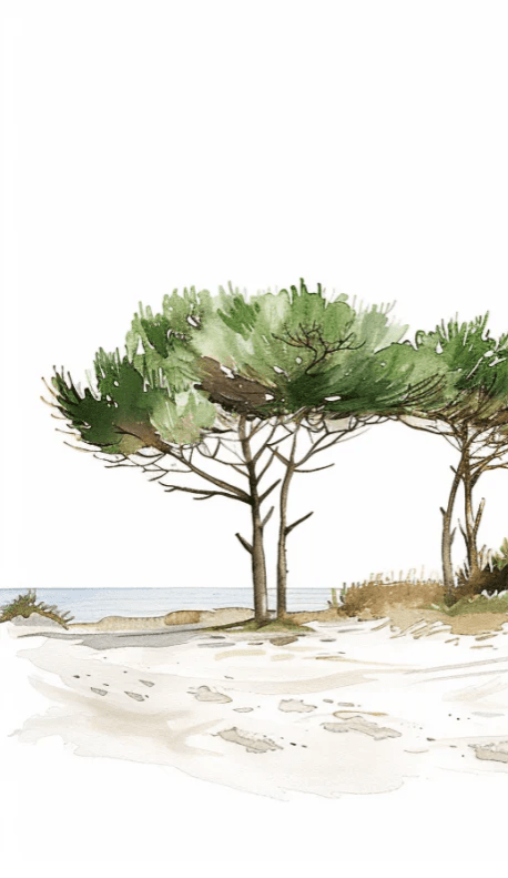 Les Pins de la Plage : Évasion Naturelle - Illulart: Papier peint panoramique