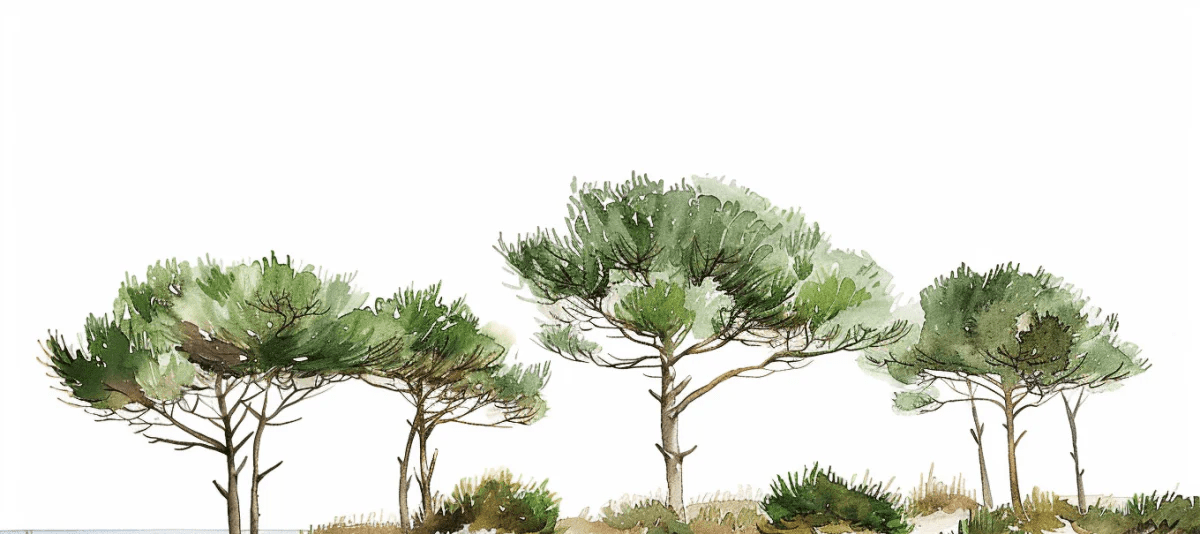 Les Pins de la Plage : Évasion Naturelle - Illulart: Papier peint panoramique