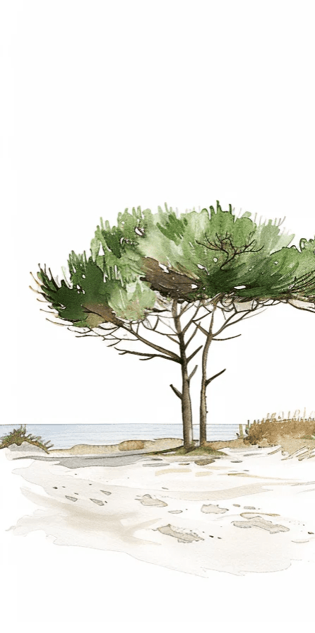 Les Pins de la Plage : Évasion Naturelle - Illulart: Papier peint panoramique