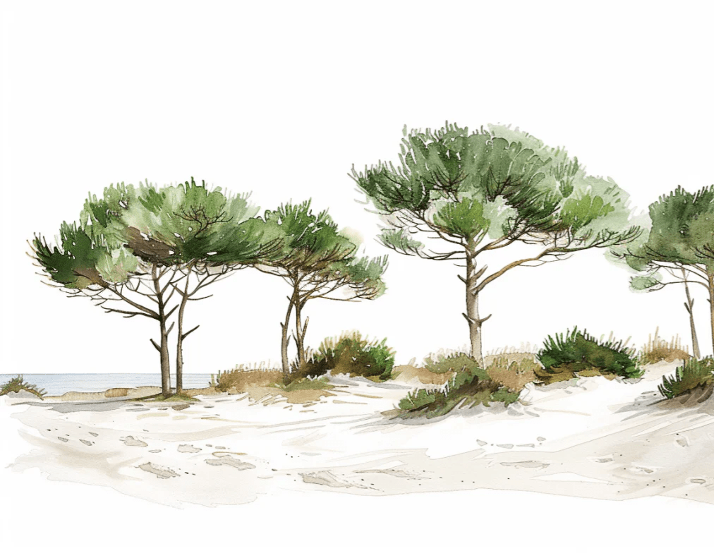 Les Pins de la Plage : Évasion Naturelle - Illulart: Papier peint panoramique