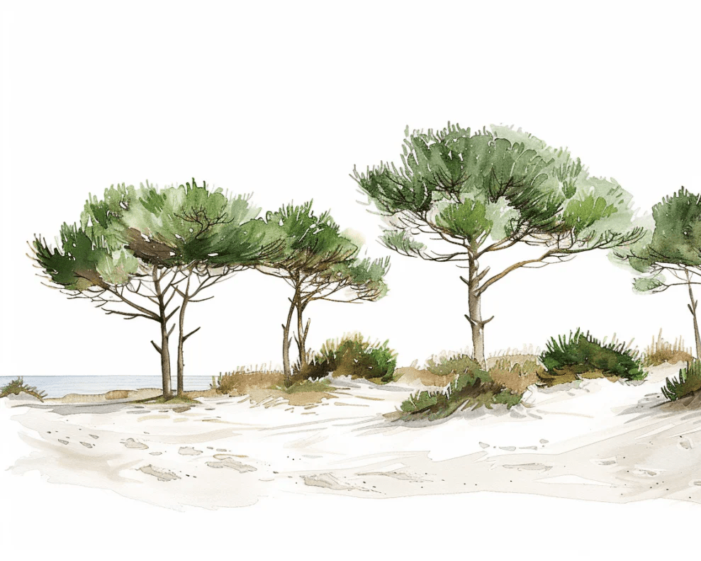 Les Pins de la Plage : Évasion Naturelle - Illulart: Papier peint panoramique