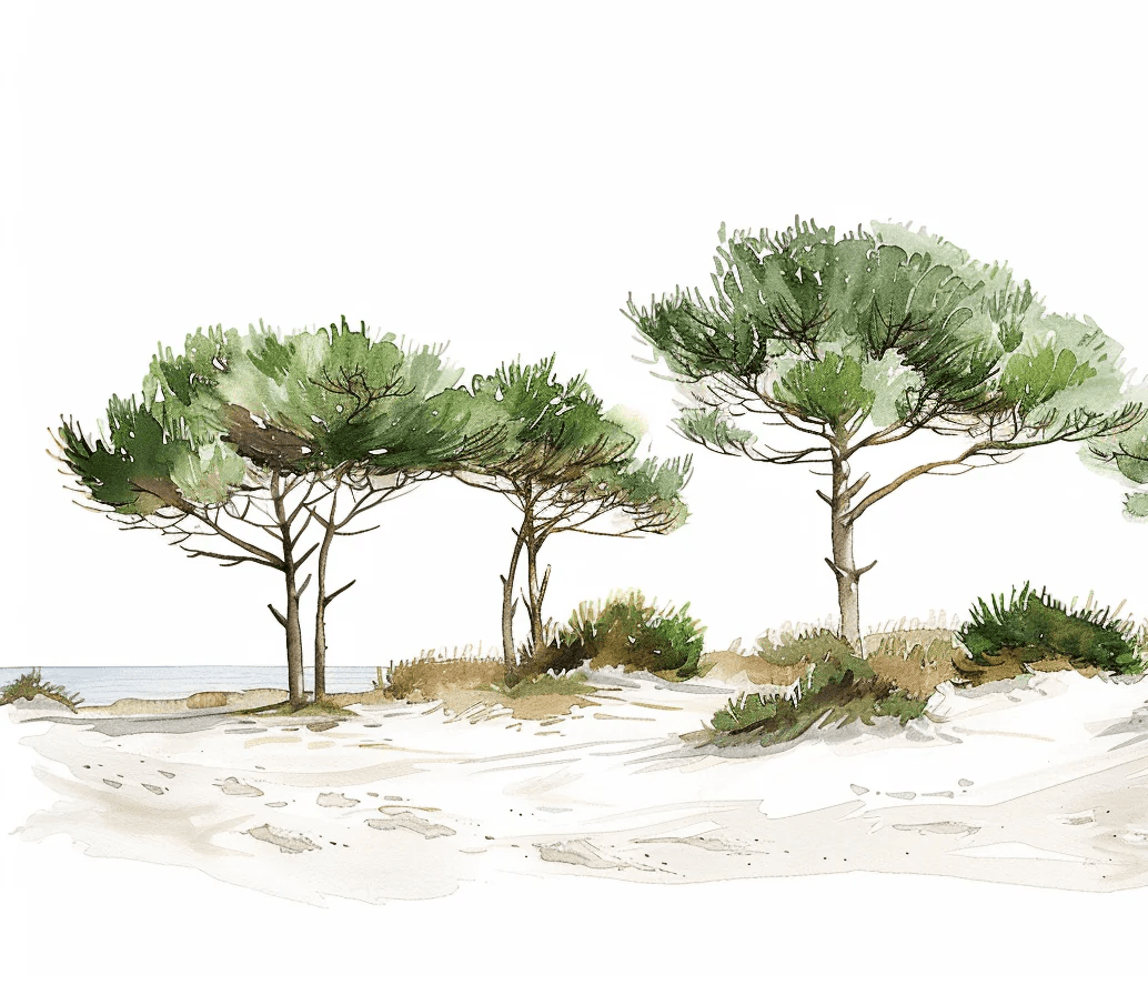 Les Pins de la Plage : Évasion Naturelle - Illulart: Papier peint panoramique
