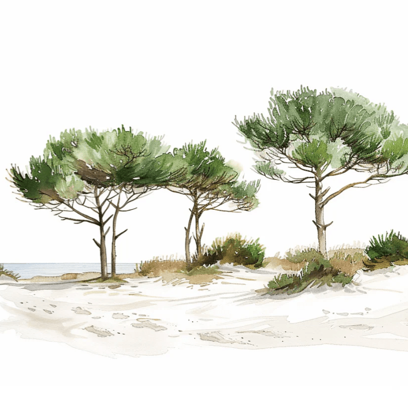 Les Pins de la Plage : Évasion Naturelle - Illulart: Papier peint panoramique