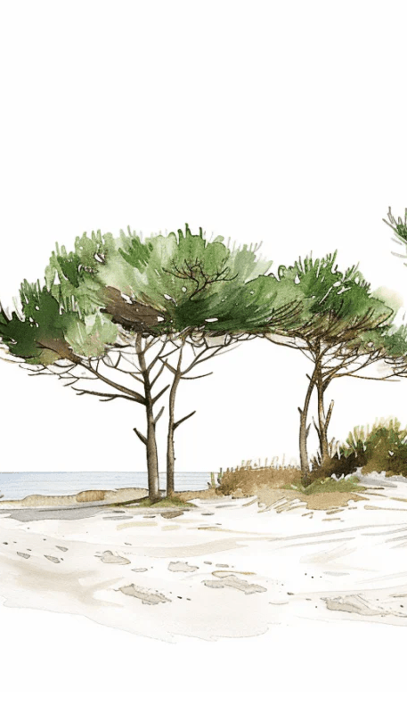 Les Pins de la Plage : Évasion Naturelle - Illulart: Papier peint panoramique