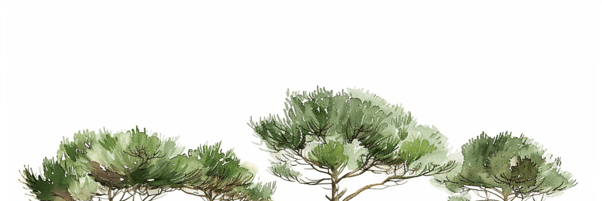 Les Pins de la Plage : Évasion Naturelle - Illulart: Papier peint panoramique