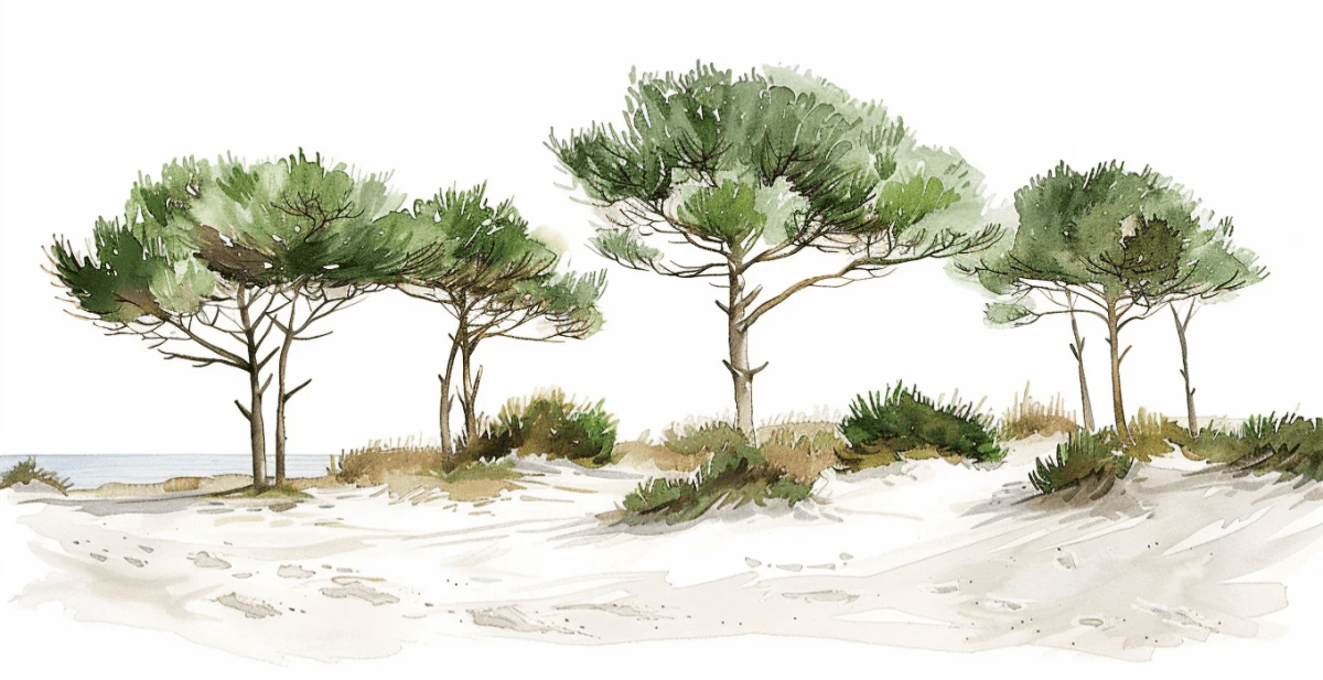 Les Pins de la Plage : Évasion Naturelle - Illulart: Papier peint panoramique