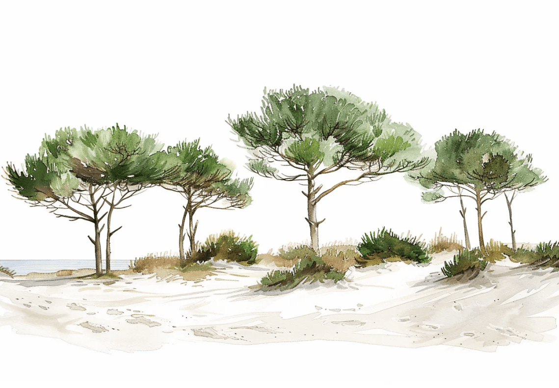 Les Pins de la Plage : Évasion Naturelle - Illulart: Papier peint panoramique