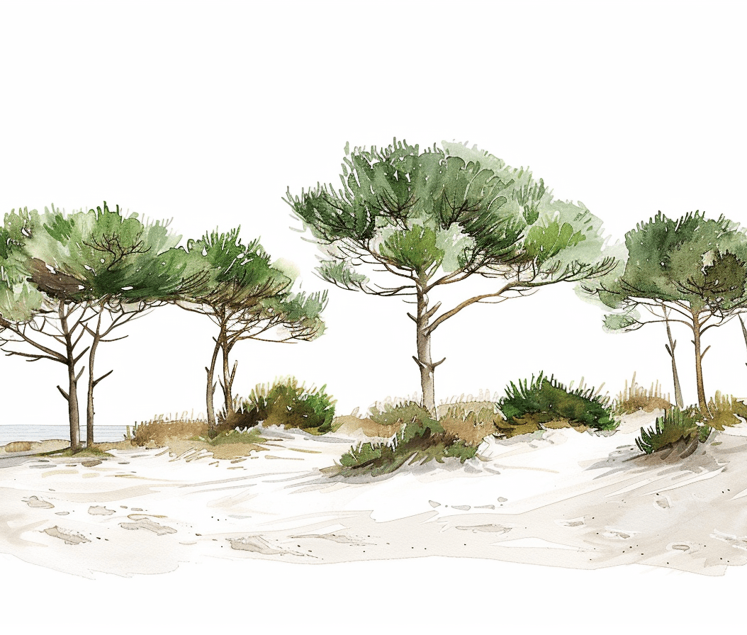 Les Pins de la Plage : Évasion Naturelle - Illulart: Papier peint panoramique
