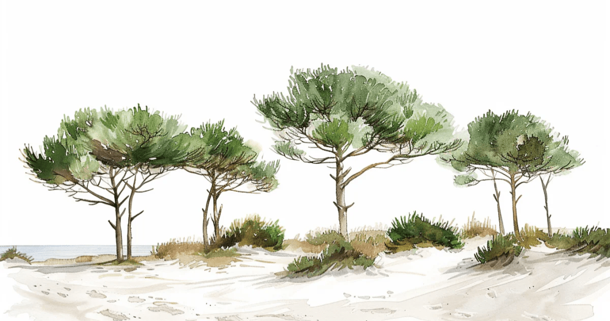 Les Pins de la Plage : Évasion Naturelle - Illulart: Papier peint panoramique