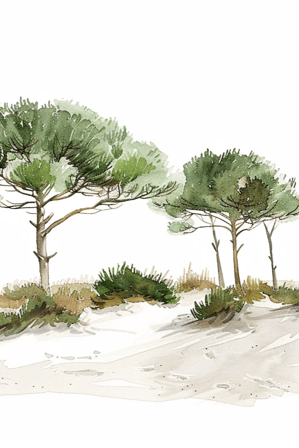 Les Pins de la Plage : Évasion Naturelle