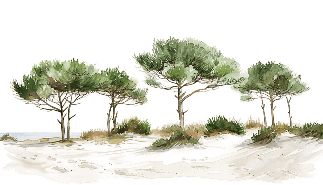 Les Pins de la Plage : Évasion Naturelle - Illulart: Papier peint panoramique