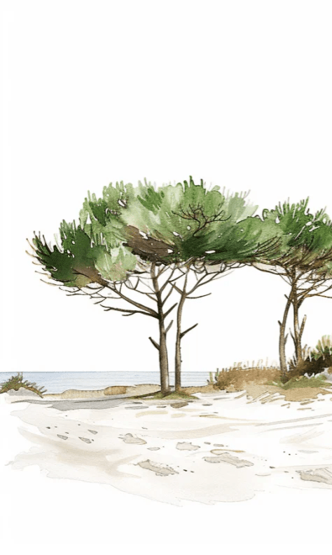 Les Pins de la Plage : Évasion Naturelle - Illulart: Papier peint panoramique