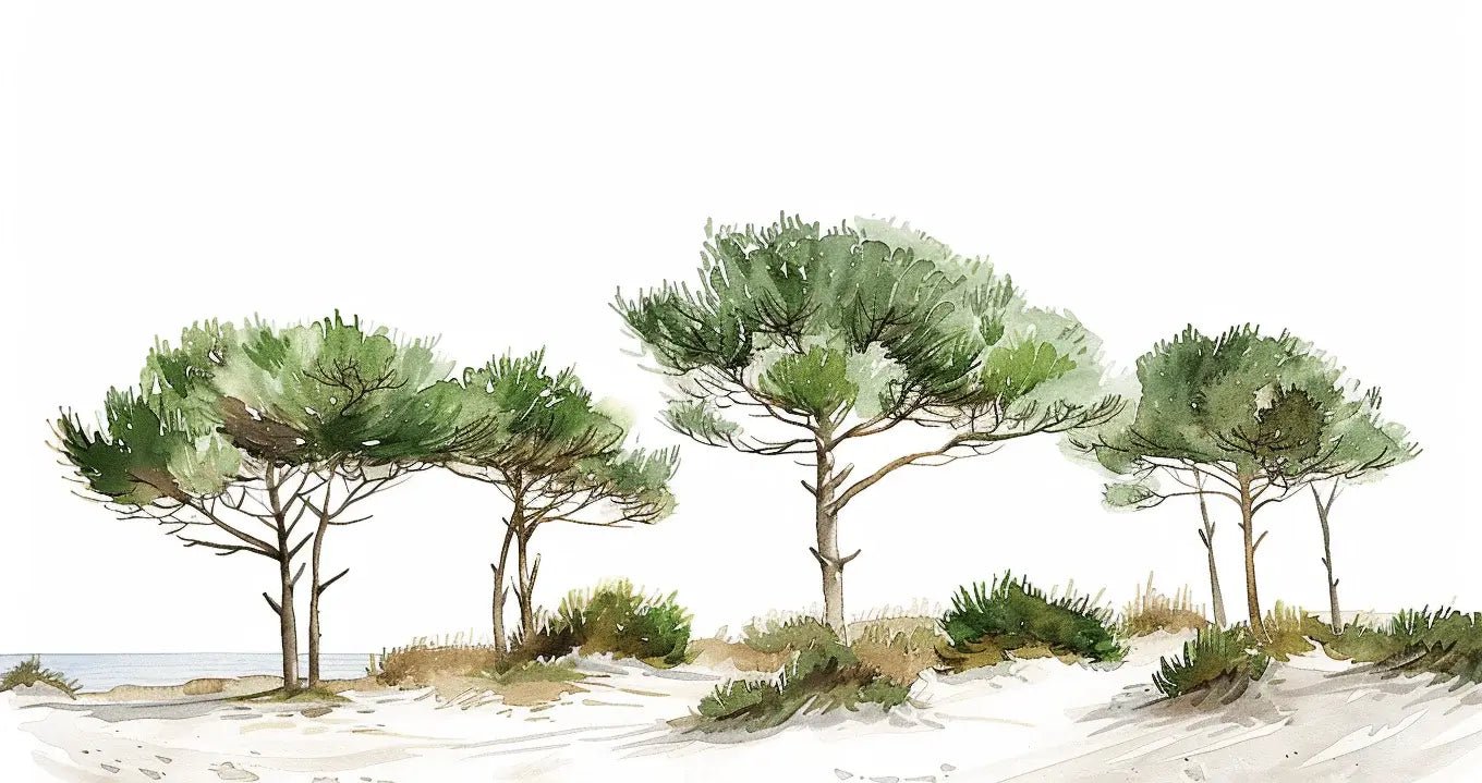Les Pins de la Plage : Évasion Naturelle