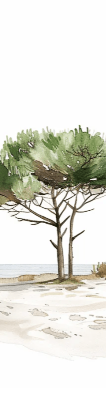 Les Pins de la Plage : Évasion Naturelle - Illulart: Papier peint panoramique