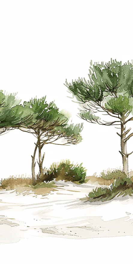 Les Pins de la Plage : Évasion Naturelle