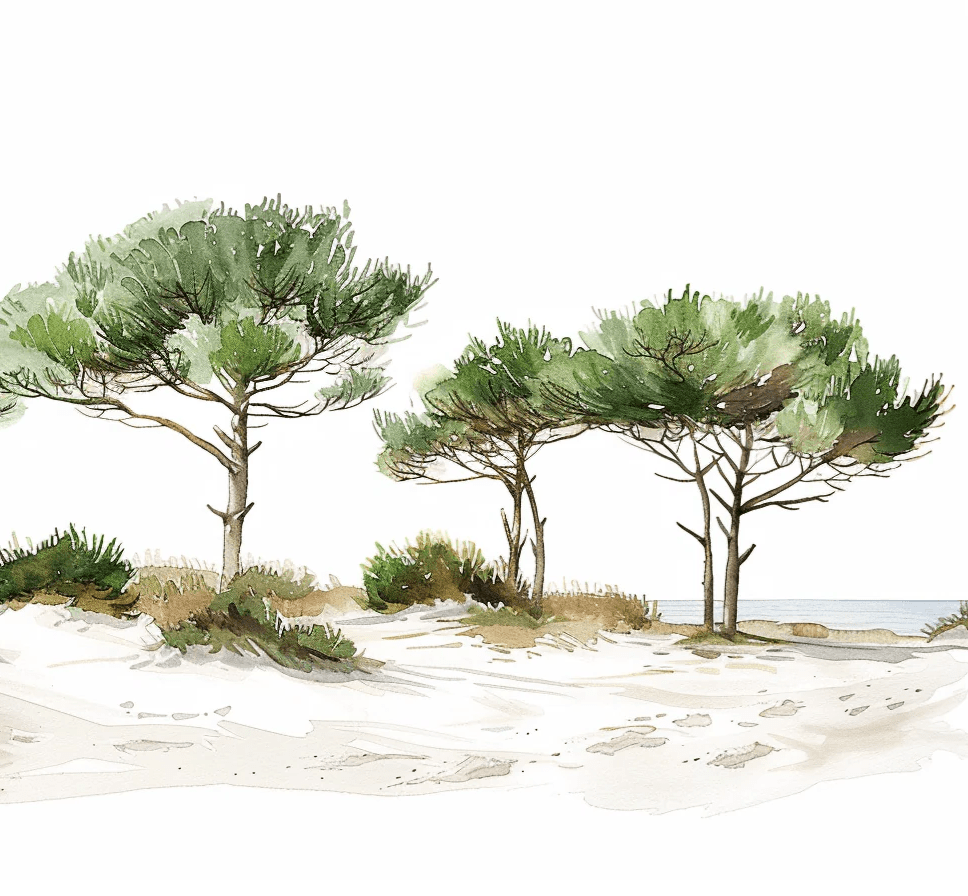 Les Pins de la Plage : Évasion Naturelle - Illulart: Papier peint panoramique