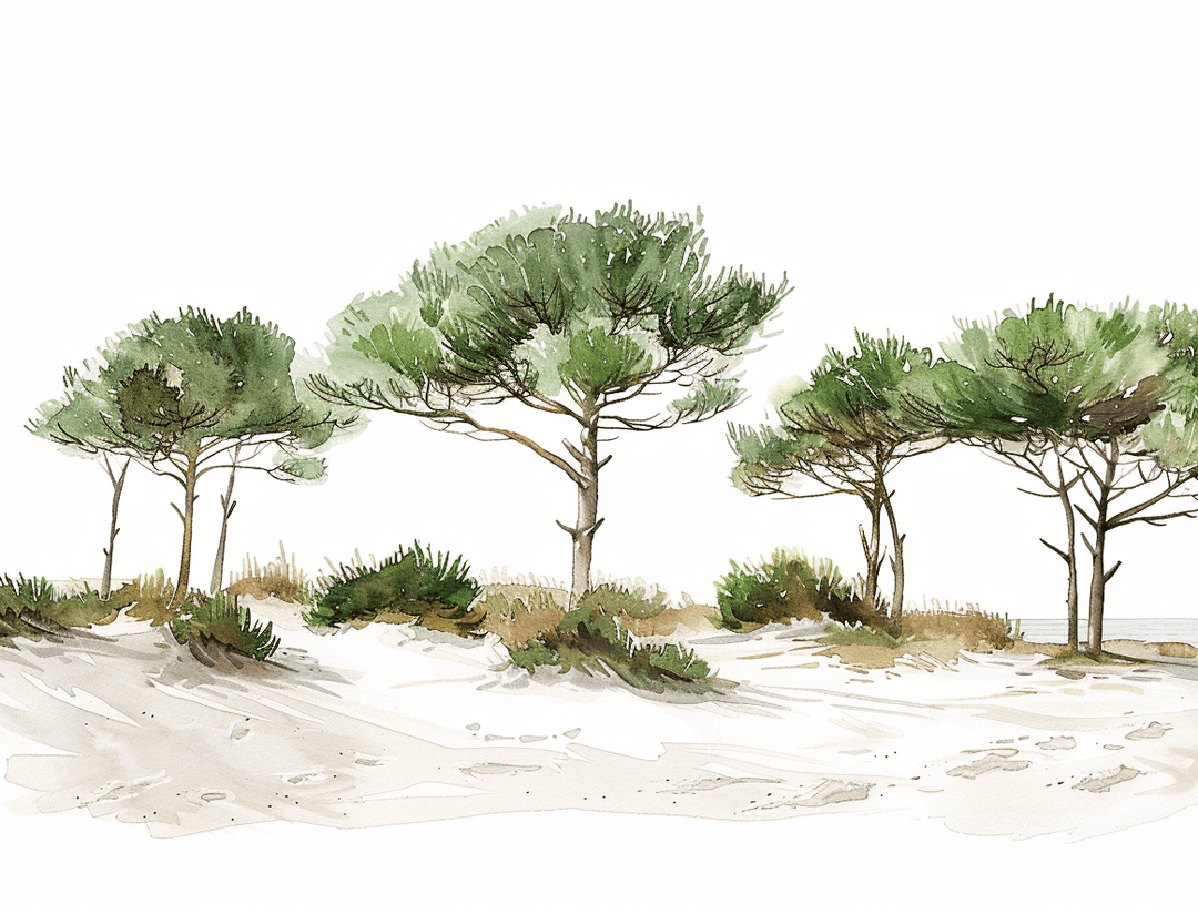 Les Pins de la Plage : Évasion Naturelle - Illulart: Papier peint panoramique